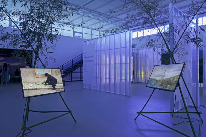 超越人类中心主义，重建与万物连接——中法艺术家共构《蛇纹绿岩》