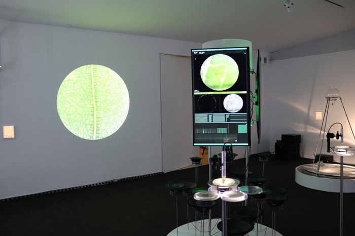 “文本、代码与感知的回声——艺术实践中的三种媒介视角”在央美美术馆展出