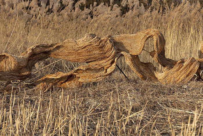 专访石梅：“墟”实之间 时间留痕