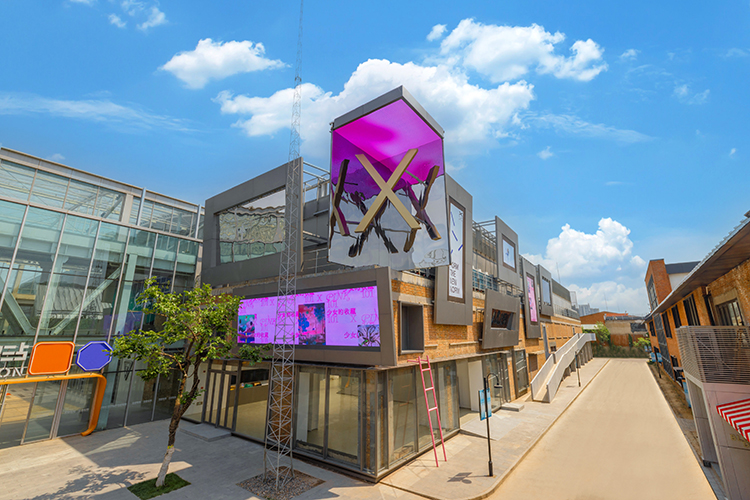 X美术馆乔迁郎园新址馆藏展“少女的收藏101”开幕