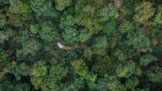 一片中国茶，半部文明史——故宫“茶·世界”特展：一场以茶为媒介的策展叙事