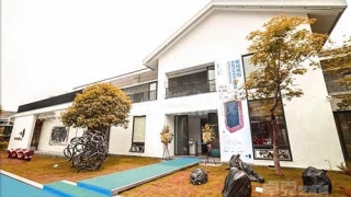 民营美术馆遇难题 免费培养人气还是收费培养习惯?