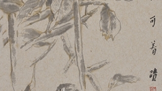 山野的风——我画黄梅戏大师严凤英所感