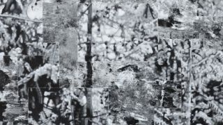 失焦的真实-他者视角 NO.13