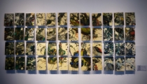 “万物生-王德晓作品展”亮相山东齐河万达广场