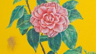 《花开富贵 系列5》- 茹创业