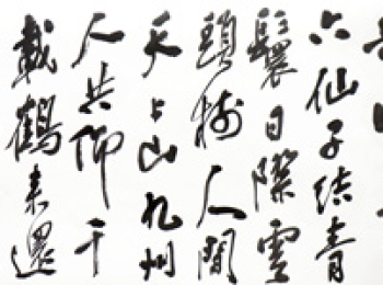 苏士澍丨情怀韵致两相宜 ——近读吴雪书法