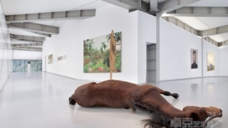 中国民营美术馆发展中的几大难题引人深思