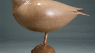 肥蛤蟆的等待 - 梁建创