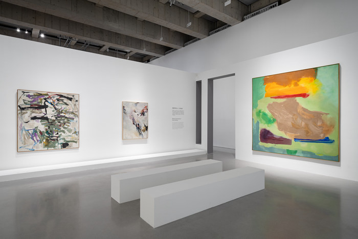 向女性提问——《她们与抽象》艺术大展